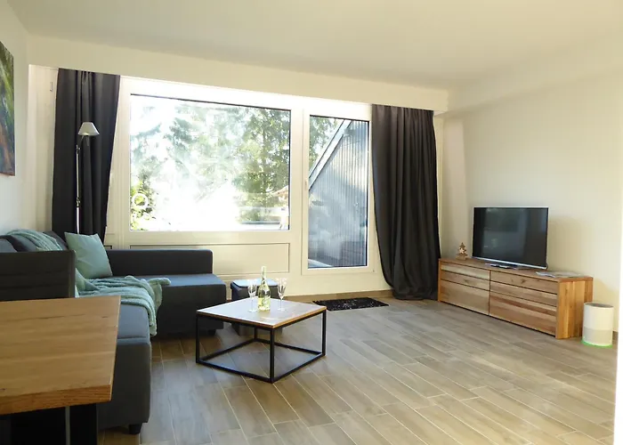 Daire Sunshine Pool Sauna Terrasse Wifi Winterberg